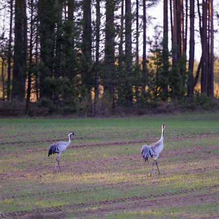 Kaszubska Odskocznia Ostoja Bukowo Villa Borowy Mlyn Eksteriør bilde