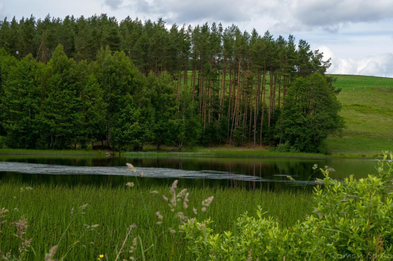 Kaszubska Odskocznia Ostoja Bukowo Villa Borowy Mlyn Eksteriør bilde